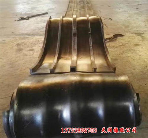 呼和浩特?zé)狳c(diǎn)國(guó)標(biāo)背貼式橡膠止水帶示范橡膠制品